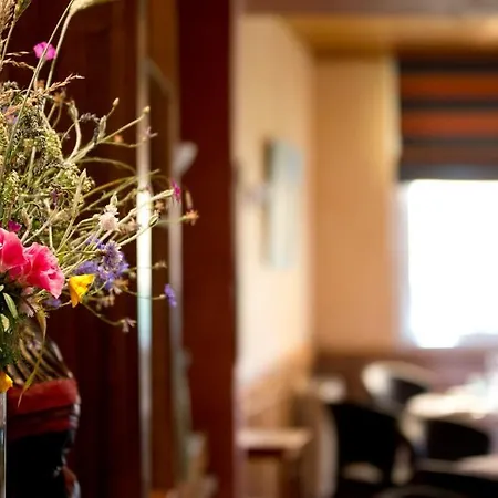 Beausejour Hotel Calvinet